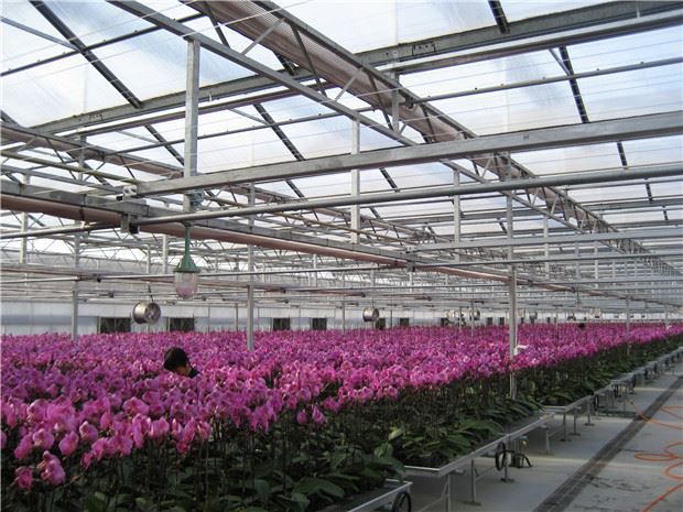 Visite Greenhouse Visite Greenhouse