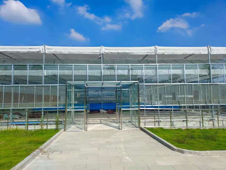 Glass greenhouse creative agriculture
