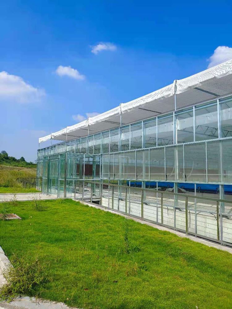 Glass Greenhouse