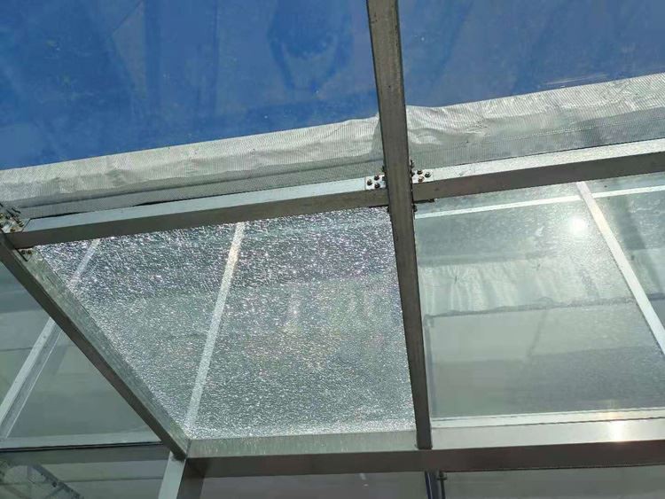 Glass Agricultural Greenhouse