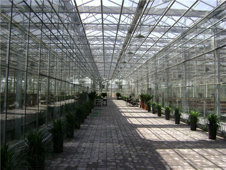 multi-span greenhouse. multi-span greenhouse.