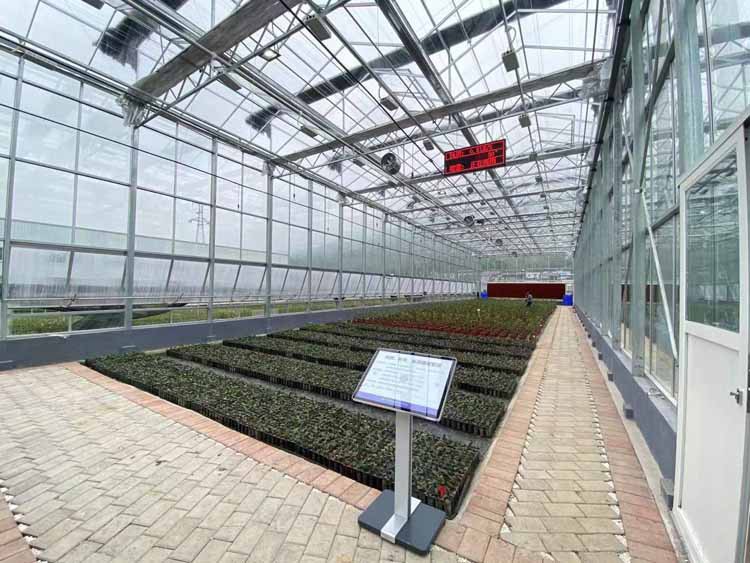 Fruit Smart Glass Greenhouse Fruit Smart Glass Greenhouse