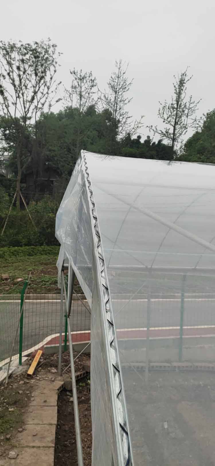 cultivated in a greenhouse cultivated in a greenhouse