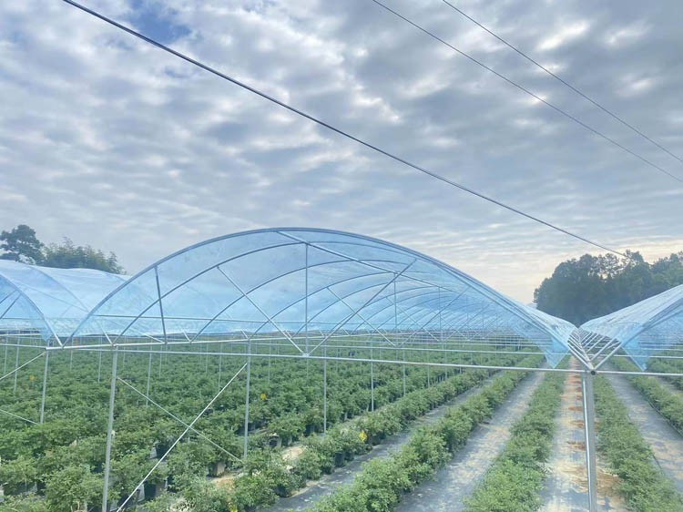 How to build a glass greenhouse How to build a glass greenhouse