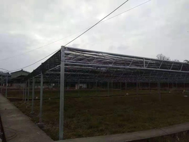 Ventilation Form of Glass Multi-span Greenhouse Ventilation Form of Glass Multi-span Greenhouse