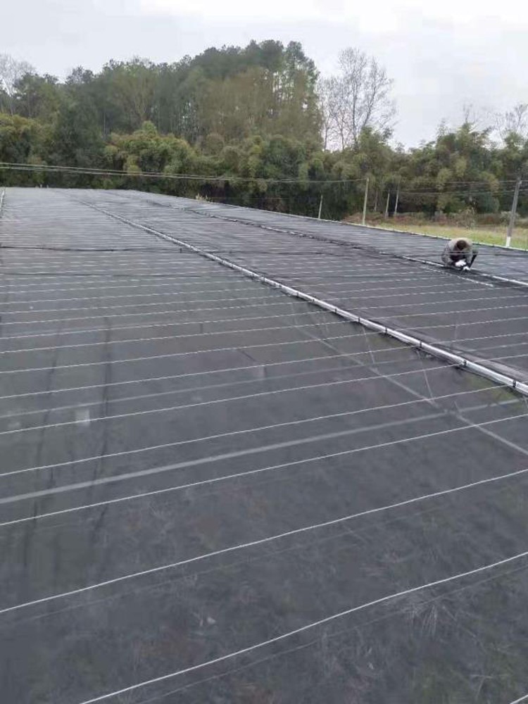 Multi-span Greenhouse Multi-span Greenhouse