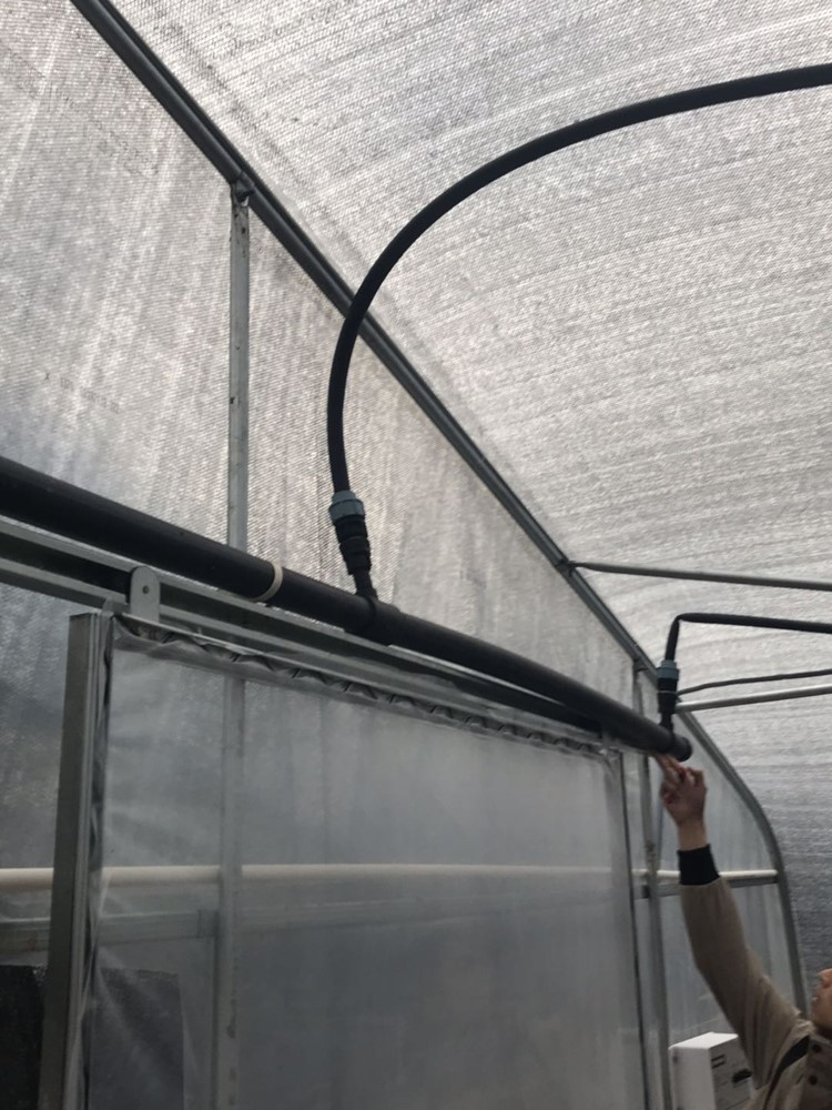 Requirements for greenhouses Requirements for greenhouses