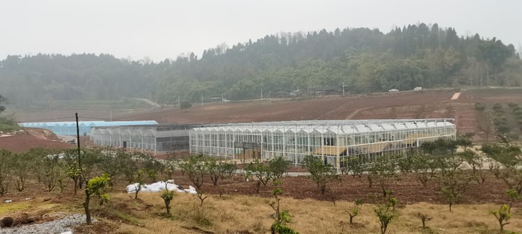 Multi-span greenhouse features and dehumidification methods Multi-span greenhouse features and dehumidification methods
