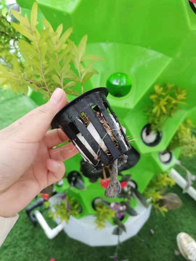 prevent greenhouse diseases prevent greenhouse diseases