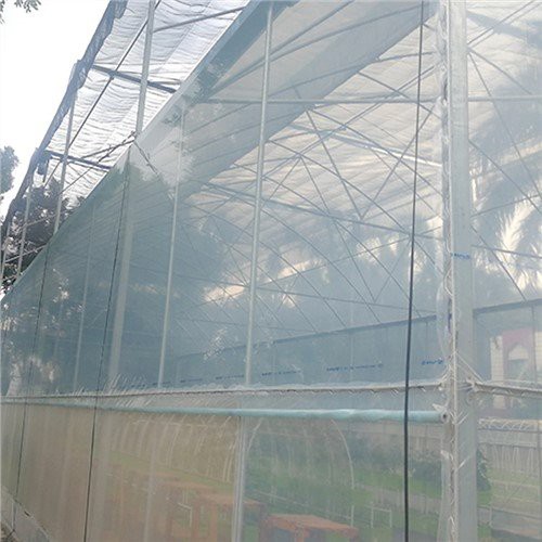 Feuilles en plastique transparent de 6 mil pour la serre