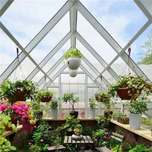 Magasins de serres de jardin