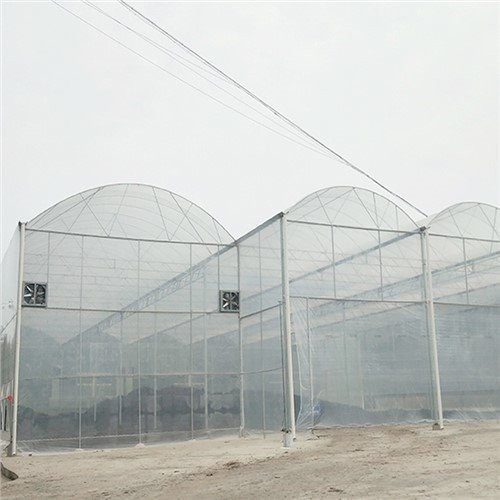 Depot de maison en plastique en serre