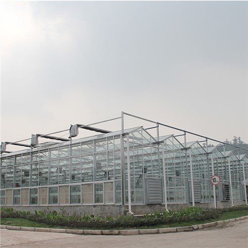 Polycarbonate de feuilles de serre