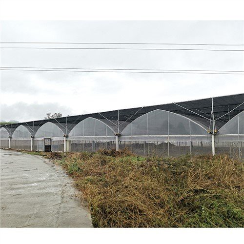 Homebase Plastic Greenhouse Coverses