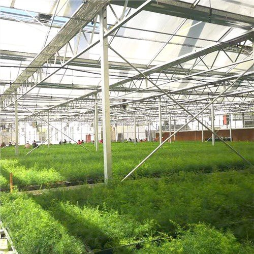 Maison Jardin Potager Serre
