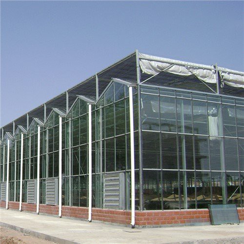 Plastique polycarbonate pour serre