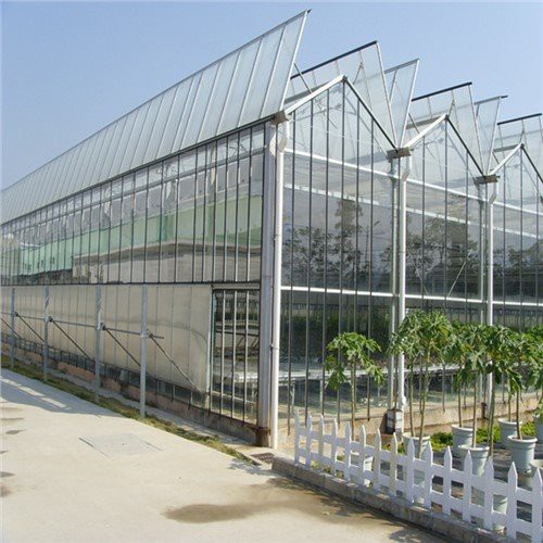 Greenhouse transparente multiples