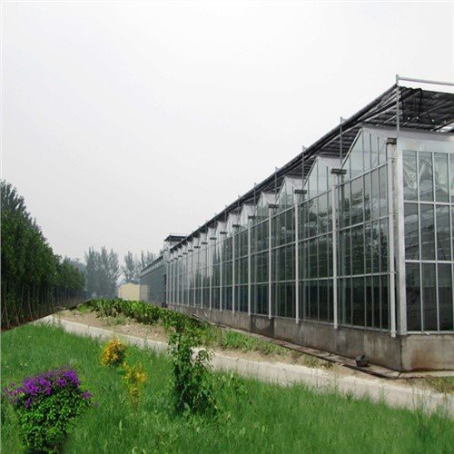 Greenhouse de type Venlo en verre victorien