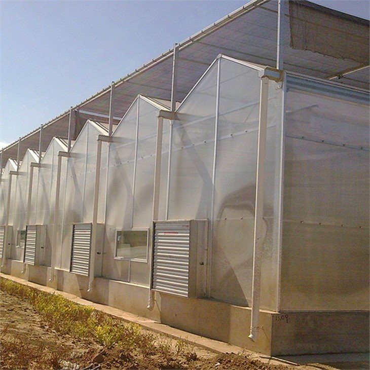 venlo pc sheet greenhouse factory